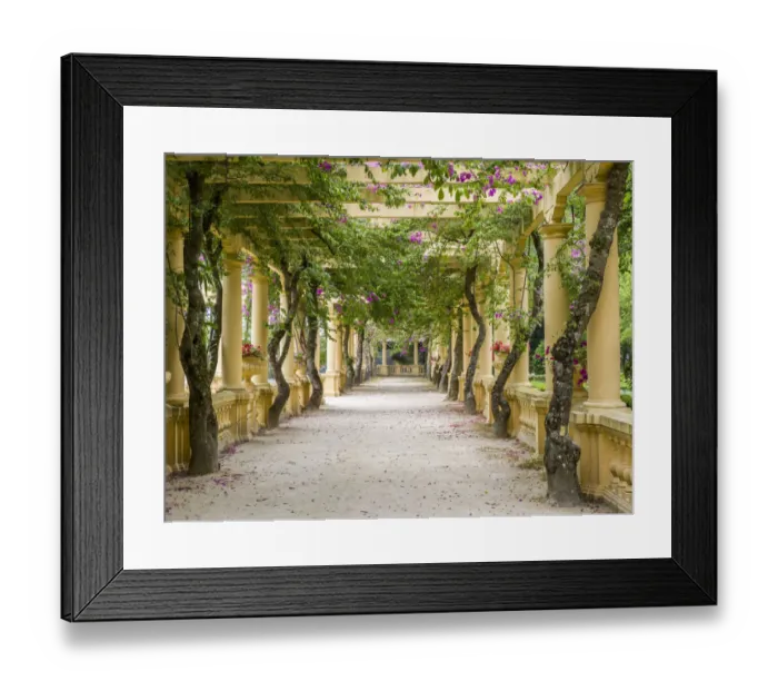 Framed Print : Portugal, Aveiro. Parque Dom Pedro Infante in Aveiro. Stone balustrade with pergola Framed Print : Portugal, Aveiro. Parque Dom Pedro Infante in Aveiro. Stone balustrade with pergola