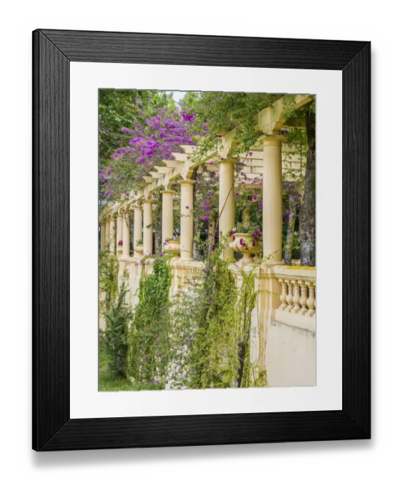 Framed Print : Portugal, Aveiro. Parque Dom Pedro Infante in Aveiro. Stone balustrade with pergola Framed Print : Portugal, Aveiro. Parque Dom Pedro Infante in Aveiro. Stone balustrade with pergola