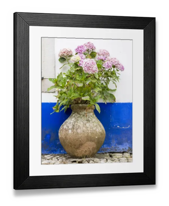 Framed Print : Portugal, Obidos. Pink hydrangea in an old pottery against a white Framed Print : Portugal, Obidos. Pink hydrangea in an old pottery against a white