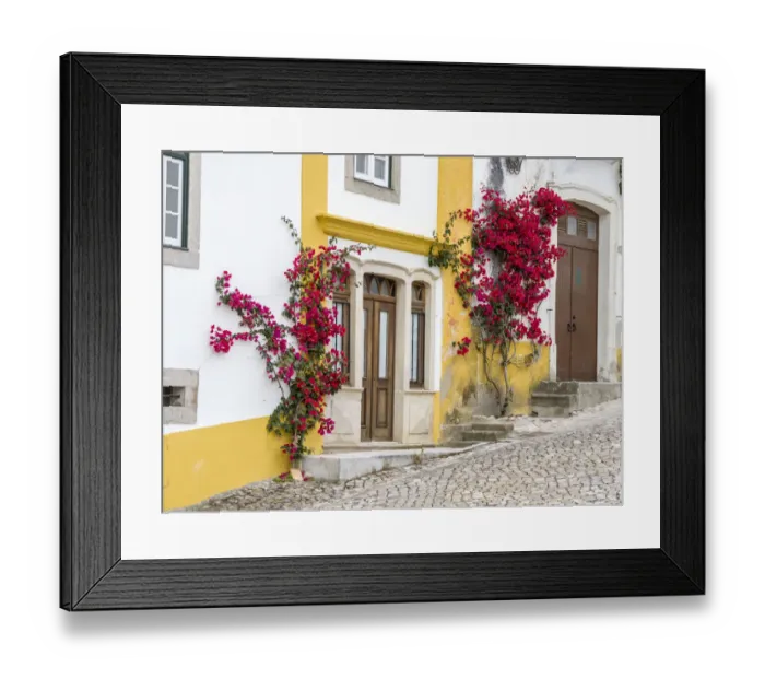 Framed Print : Portugal, Obidos. Dark pink bougainvillea vine growing along side the entrance of a home