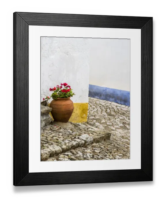 Framed Print : Portugal, Obidos. Red geranium growing in a terra cotta pot next to the entrance of a Framed Print : Portugal, Obidos. Red geranium growing in a terra cotta pot next to the entrance of a