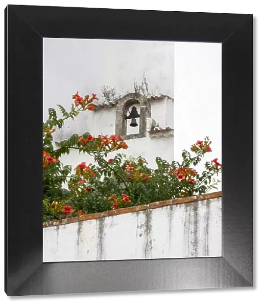 Portugal, Obidos. Orange trumpet vine growing below a church bell in the medieval village