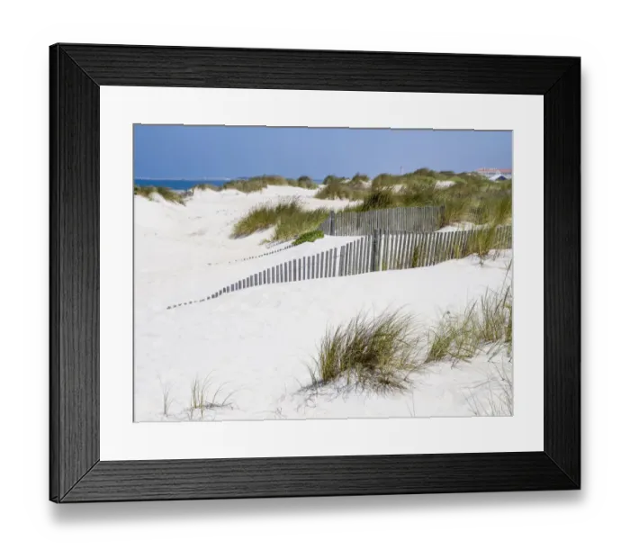 Framed Print : Portugal, Costa Nova. Beach grass, sand and old fence line at the beach resort of Costa