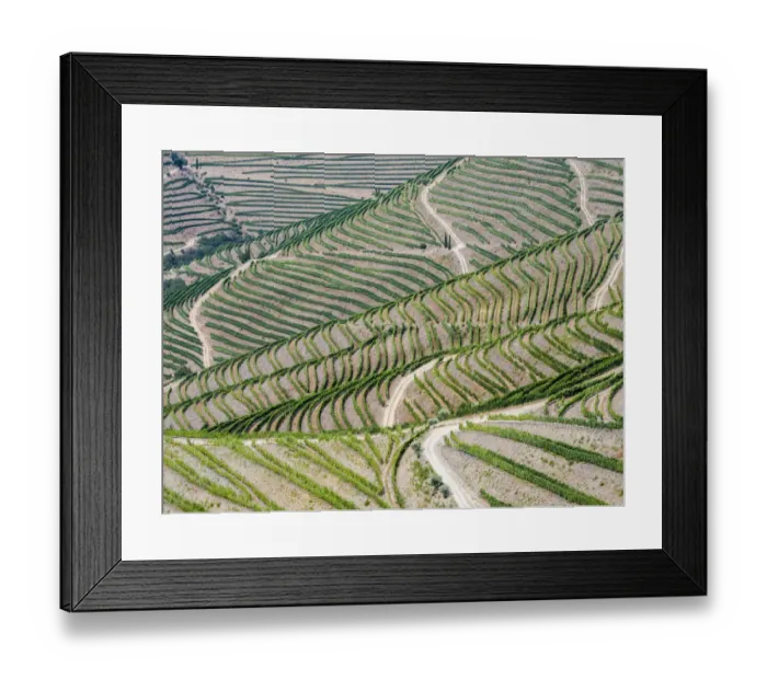 Framed Print : Portugal, Douro Valley. Terraced vineyards lining the hills Framed Print : Portugal, Douro Valley. Terraced vineyards lining the hills