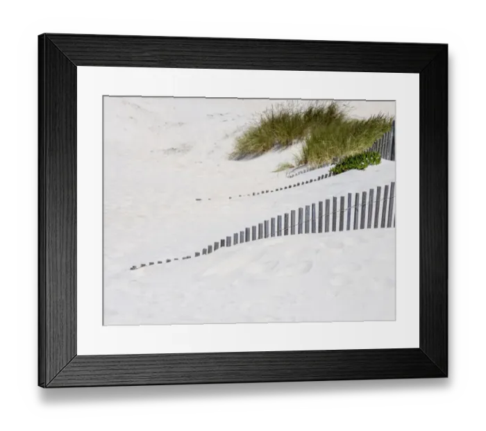 Framed Print : Portugal, Costa Nova. Beach grass, sand and old fence line at the beach resort of Costa