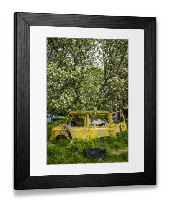 Framed Print : Sweden, Varmland, Bastnas, Bastnas Car Cemetery public park, antique car junkyard Framed Print : Sweden, Varmland, Bastnas, Bastnas Car Cemetery public park, antique car junkyard