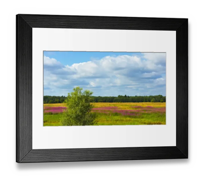 Framed Print : Farmland and flower fields, Estonia Framed Print : Farmland and flower fields, Estonia