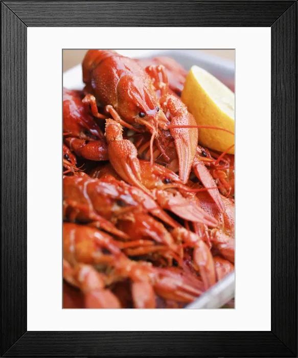 Framed Print : Crayfish close-up Framed Print : Crayfish close-up