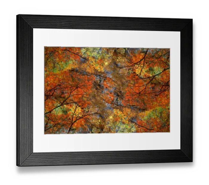 Framed Print : Autumn tree abstract Framed Print : Autumn tree abstract