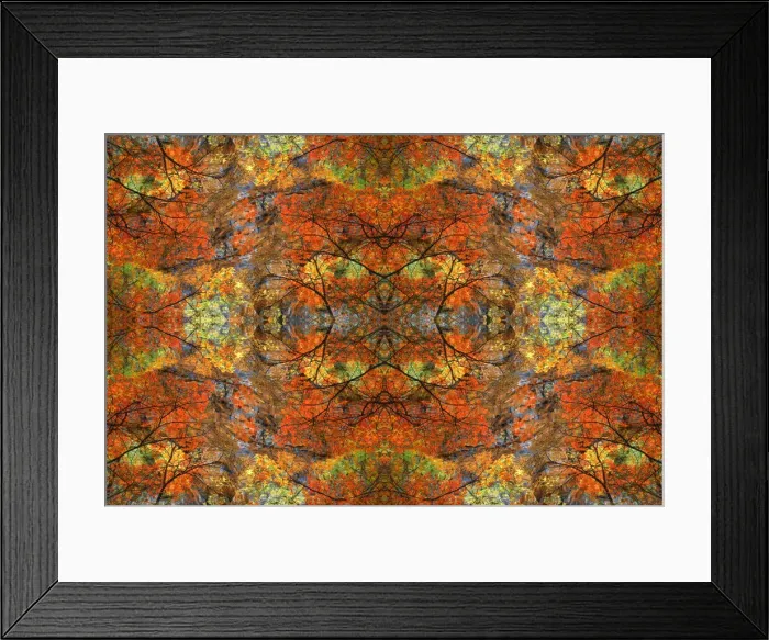 Framed Print : Autumn tree abstract Framed Print : Autumn tree abstract