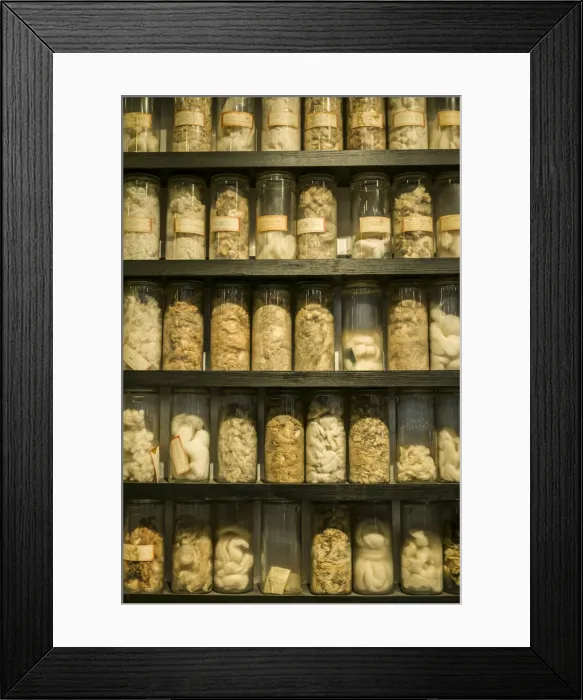 Framed Print : Sweden, Norrkoping, former mill town, cotton samples
