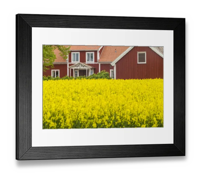 Framed Print : Sweden, Lake Vattern Area, Renstad, farm, springtime