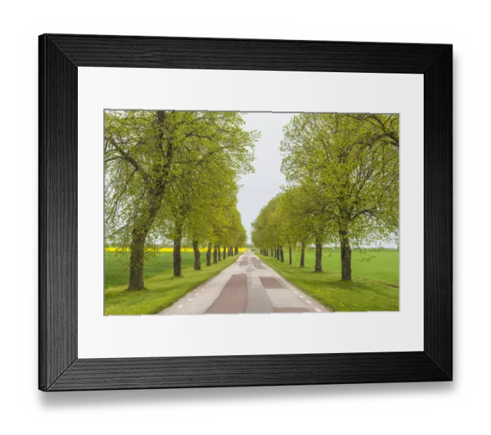 Framed Print : Sweden, Lake Vattern Area, country road, springtime
