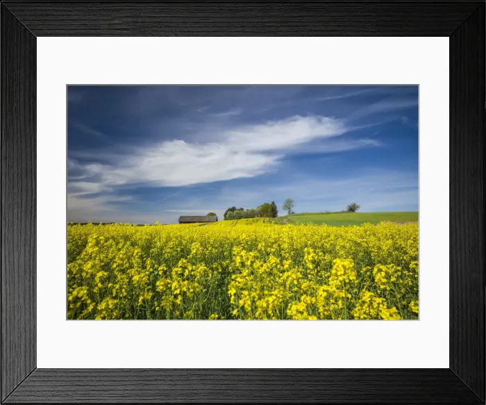 Framed Print : Sweden, Bergs Slussar, springtime landscape Framed Print : Sweden, Bergs Slussar, springtime landscape