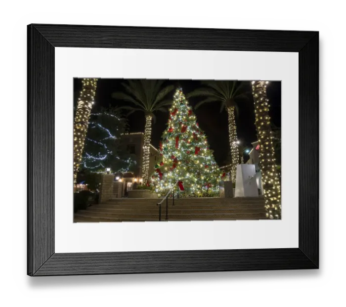 Framed Print : USA, Arizona, Buckeye. Christmas tree in the village square at night