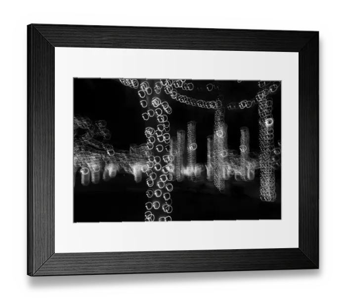 Framed Print : USA, Arizona, Buckeye. Black and white abstract of decorated trees at night during Framed Print : USA, Arizona, Buckeye. Black and white abstract of decorated trees at night during