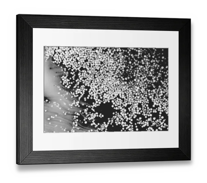 Framed Print : Beet juice and salt crystals