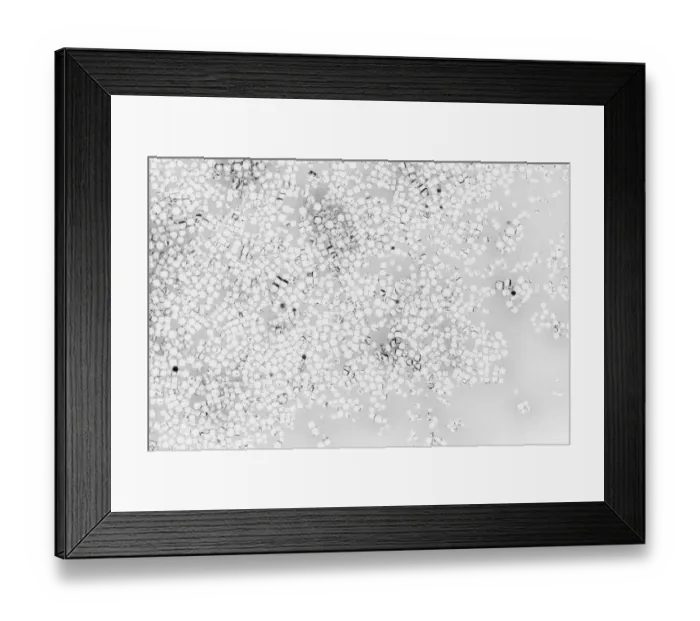 Framed Print : Beet juice and salt crystals
