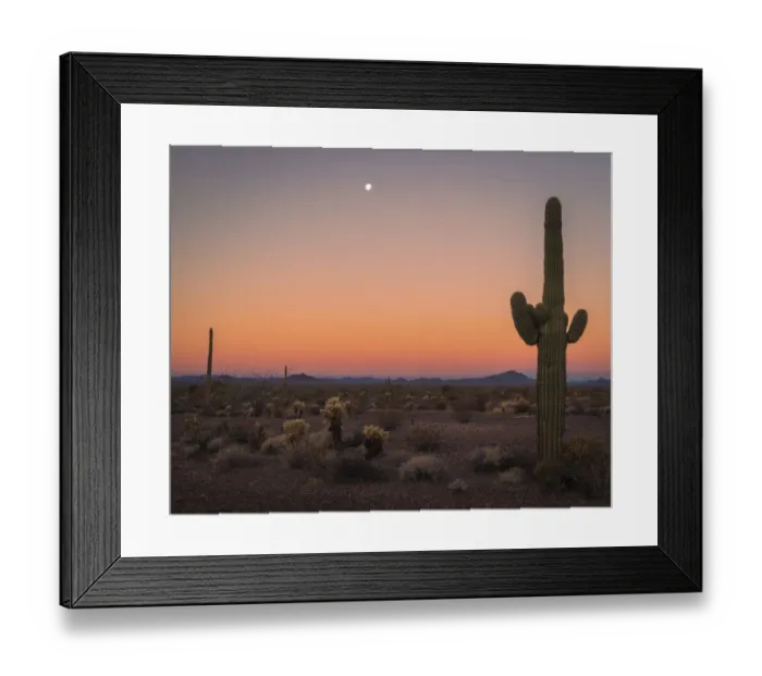 Framed Print : USA, Arizona, Kofa National Wildlife Area. Mountain and desert landscape at sunset Framed Print : USA, Arizona, Kofa National Wildlife Area. Mountain and desert landscape at sunset