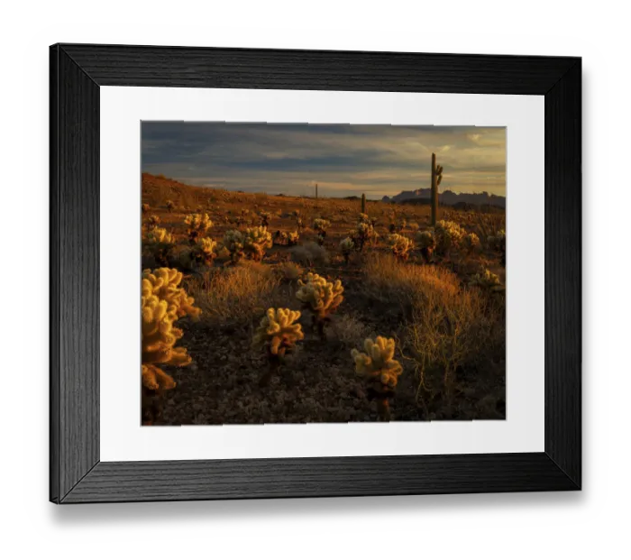 Framed Print : USA, Arizona, Kofa National Wildlife Area. Mountain and desert landscape at sunrise Framed Print : USA, Arizona, Kofa National Wildlife Area. Mountain and desert landscape at sunrise