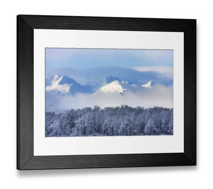 Framed Print : Landscape of forest and snow mountain, Haines, Alaska, USA Framed Print : Landscape of forest and snow mountain, Haines, Alaska, USA
