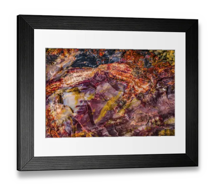 Framed Print : Red, blue, orange petrified wood, Visitor Center, Petrified Forest National Park, Arizona Framed Print : Red, blue, orange petrified wood, Visitor Center, Petrified Forest National Park, Arizona