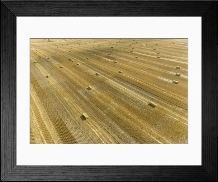 Framed Print : Aerial view of large square bales of wheat straw in field, Clay County, Illinois Framed Print : Aerial view of large square bales of wheat straw in field, Clay County, Illinois