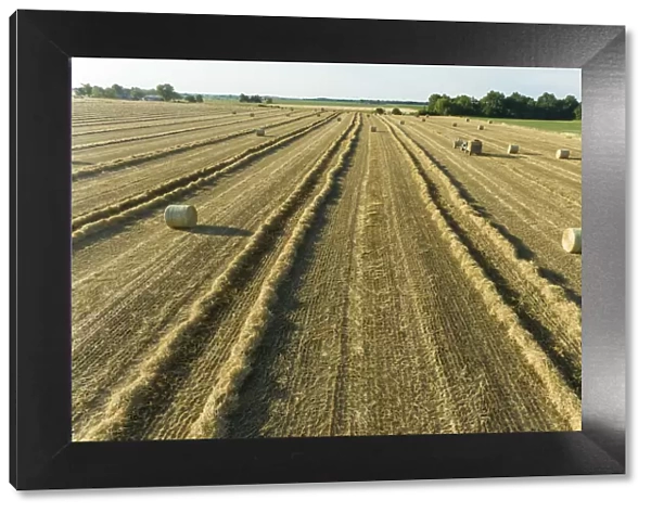 Aerial view of rows of wheat straw before baling and round bales, Marion County, Illinois