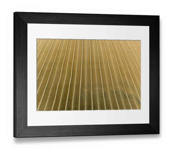 Framed Print : Aerial view of rows of wheat straw before baling, Marion County, Illinois