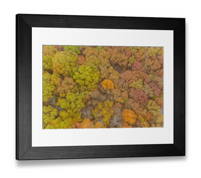 Framed Print : Aerial view of fall color, Marion County, Illinois Framed Print : Aerial view of fall color, Marion County, Illinois