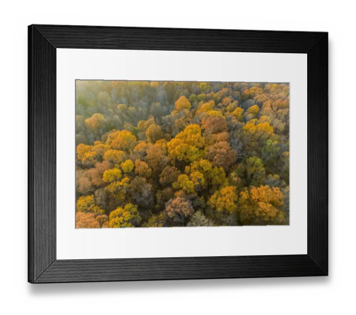 Framed Print : Aerial view of fall color, Marion County, Illinois Framed Print : Aerial view of fall color, Marion County, Illinois