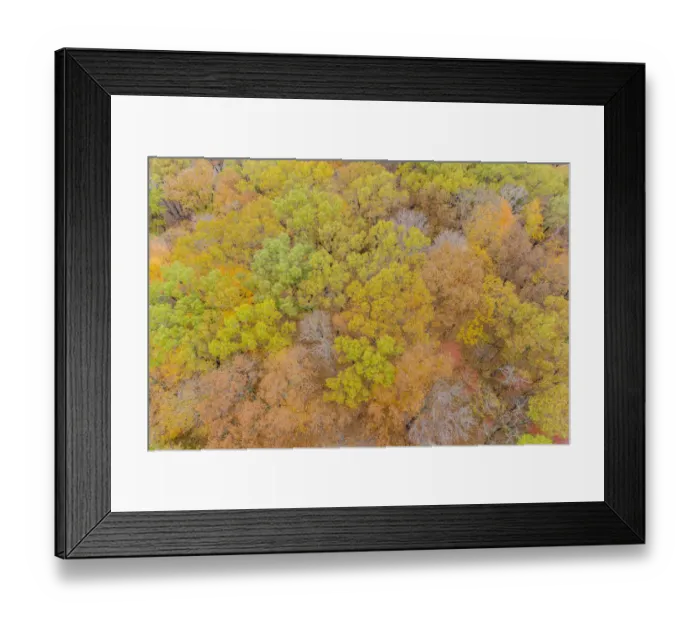 Framed Print : Aerial view of fall color, Marion County, Illinois
