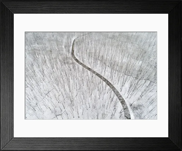 Framed Print : Aerial view of a fresh snow over the forest and road, Marion County, Illinois