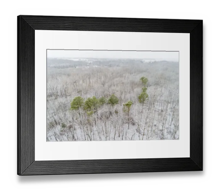 Framed Print : Aerial view of a fresh snow over the forest, Marion County, Illinois Framed Print : Aerial view of a fresh snow over the forest, Marion County, Illinois