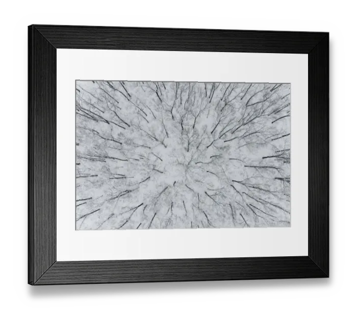 Framed Print : Aerial view of woods after a snowfall, Marion County, Illinois