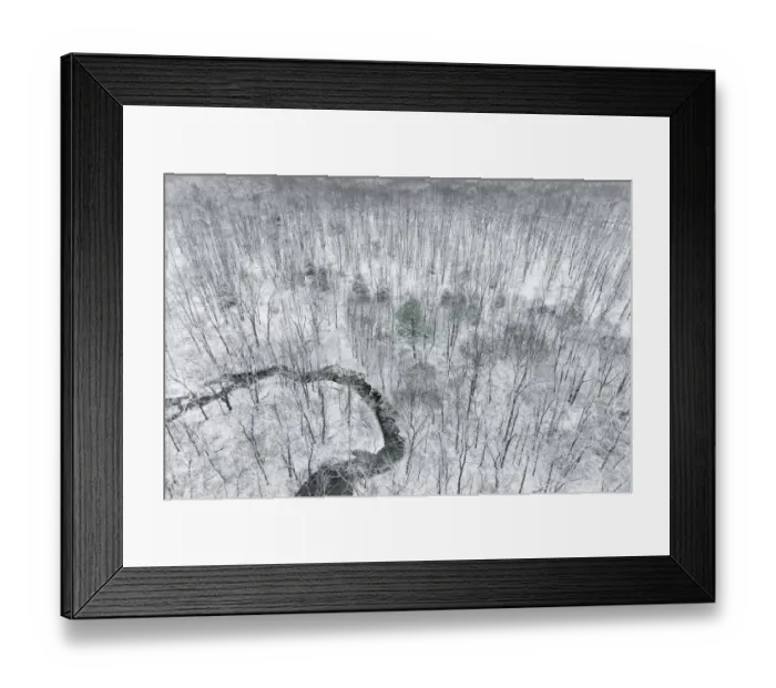 Framed Print : Aerial view of woods after a snowfall, Marion County, Illinois Framed Print : Aerial view of woods after a snowfall, Marion County, Illinois