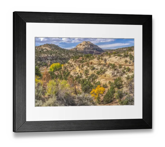 Framed Print : Colorful Autumn, Canyonlands National Park, Needles District, Utah Framed Print : Colorful Autumn, Canyonlands National Park, Needles District, Utah