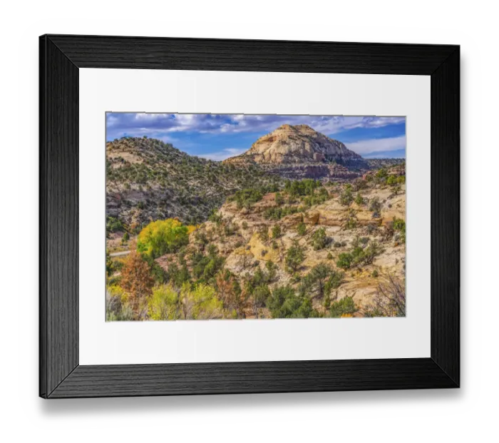 Framed Print : Colorful Autumn, Canyonlands National Park, Needles District, Utah