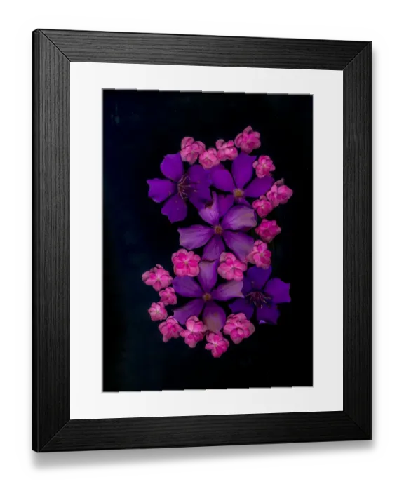 Framed Print : USA, Florida, Celebration. A bouquet of flowers Framed Print : USA, Florida, Celebration. A bouquet of flowers