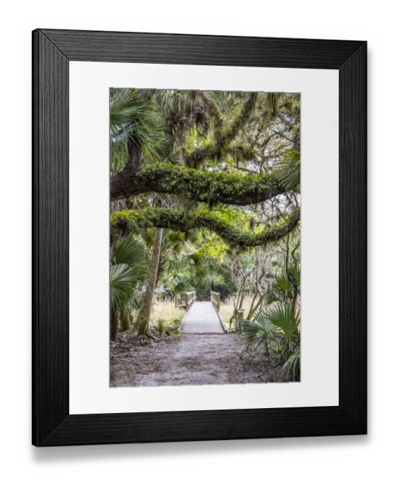 Framed Print : USA, Florida, Sarasota, Myakka River State Park