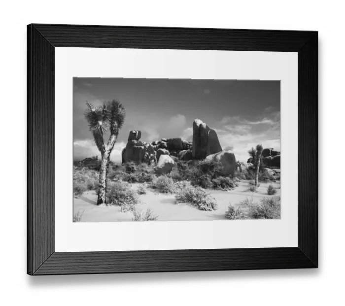 Framed Print : Winter storm, Joshua Tree National Park, California Framed Print : Winter storm, Joshua Tree National Park, California