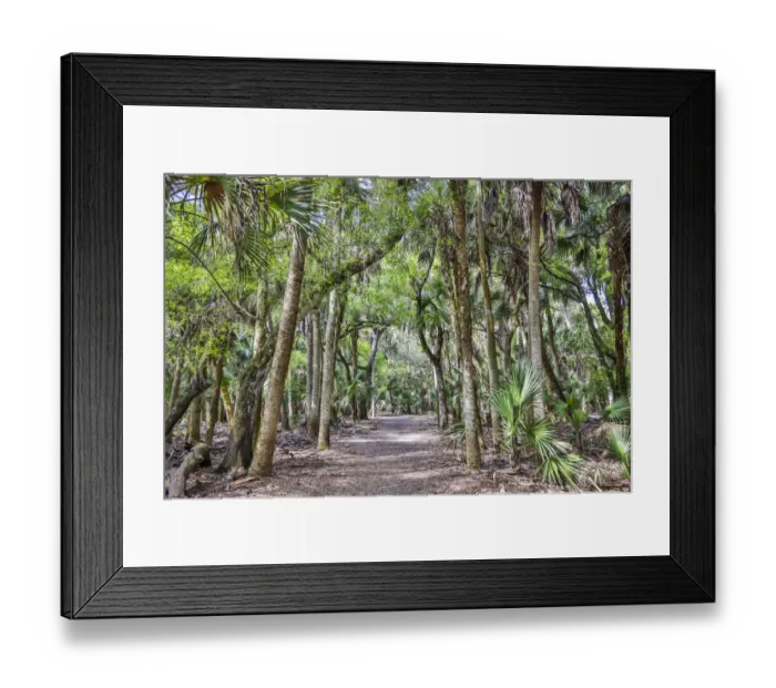 Framed Print : USA, Florida, Sarasota, Myakka River State Park Framed Print : USA, Florida, Sarasota, Myakka River State Park