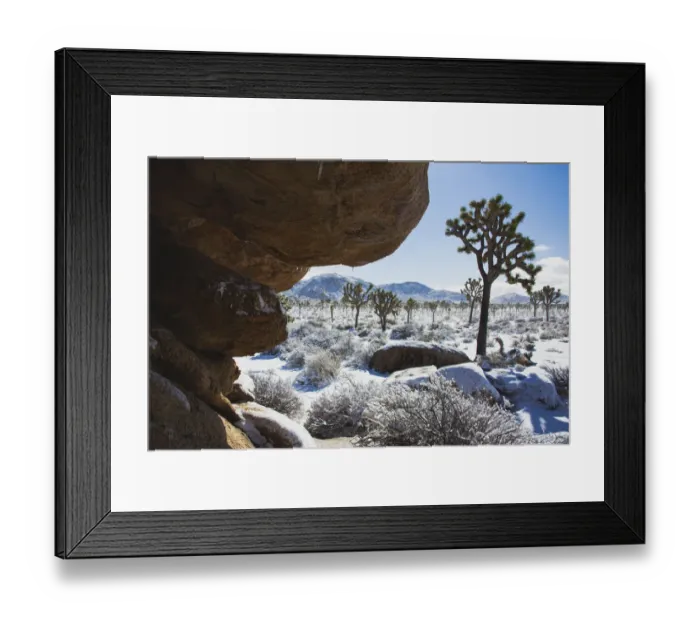 Framed Print : Winter storm, Joshua Tree National Park, California Framed Print : Winter storm, Joshua Tree National Park, California