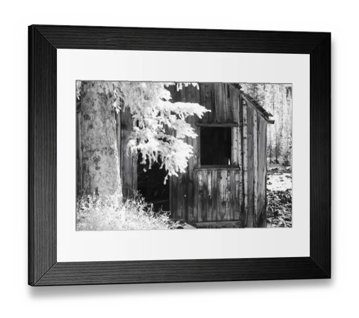 Framed Print : USA, Colorado, Old Mining Shack Framed Print : USA, Colorado, Old Mining Shack