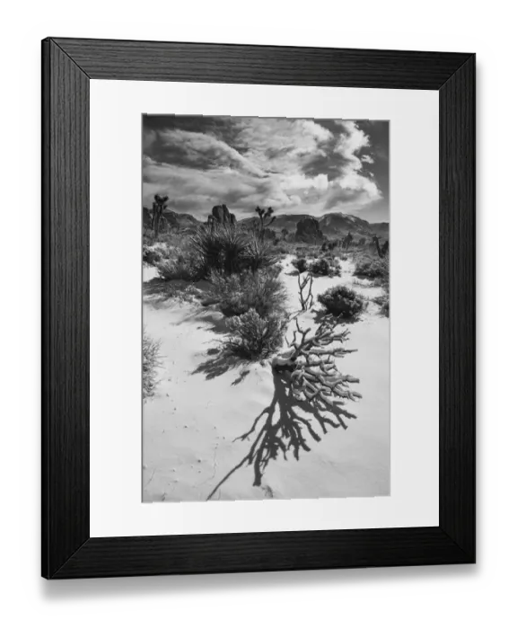 Framed Print : Winter storm, Joshua Tree National Park, California