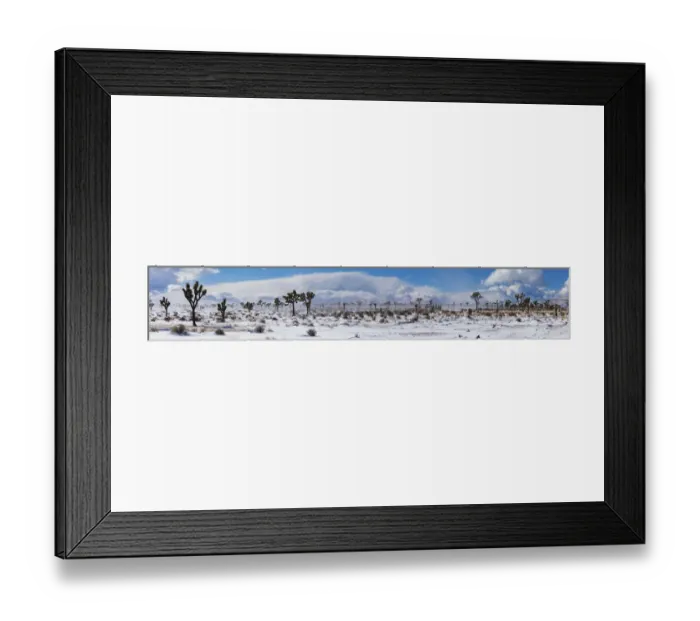 Framed Print : Winter storm, Joshua Tree National Park, California Framed Print : Winter storm, Joshua Tree National Park, California