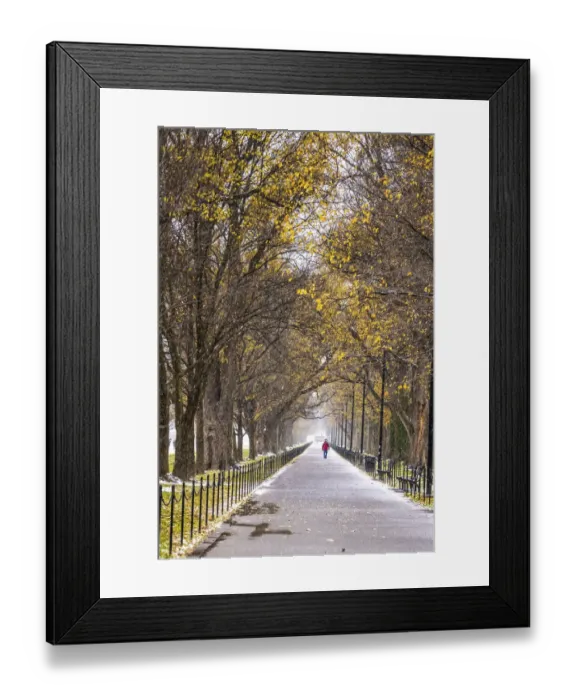 Framed Print : USA, District of Columbia. A snowy afternoon Framed Print : USA, District of Columbia. A snowy afternoon