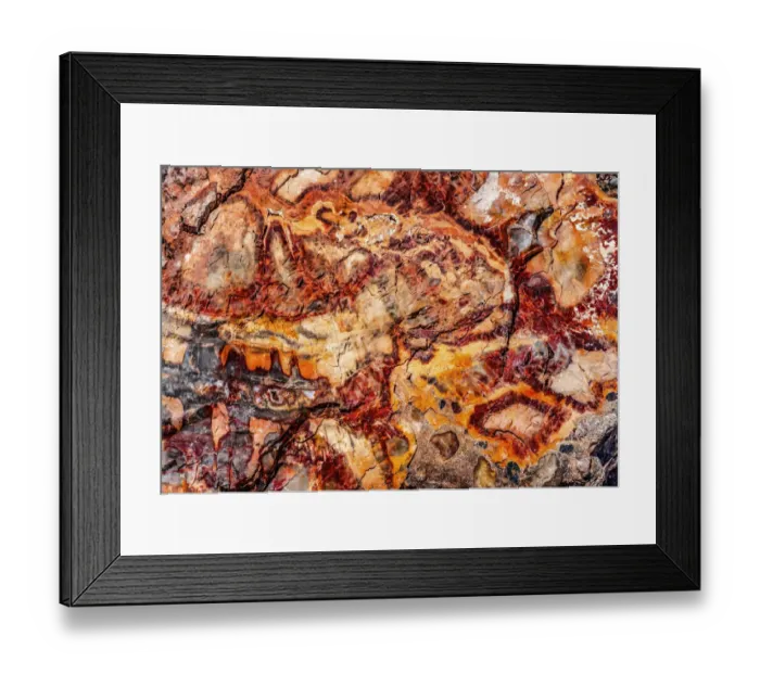 Framed Print : Red, orange and yellow petrified wood abstract, Blue Mesa, Petrified Forest National Park
