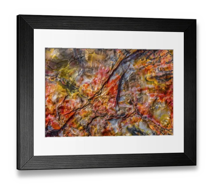 Framed Print : Red, blue, orange petrified wood, Visitor Center, Petrified Forest National Park, Arizona