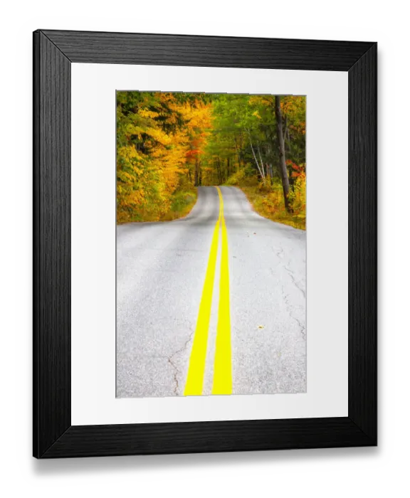 Framed Print : USA, Maine, Highway 113 lined by Maple and Birch trees in full Autumn color Framed Print : USA, Maine, Highway 113 lined by Maple and Birch trees in full Autumn color